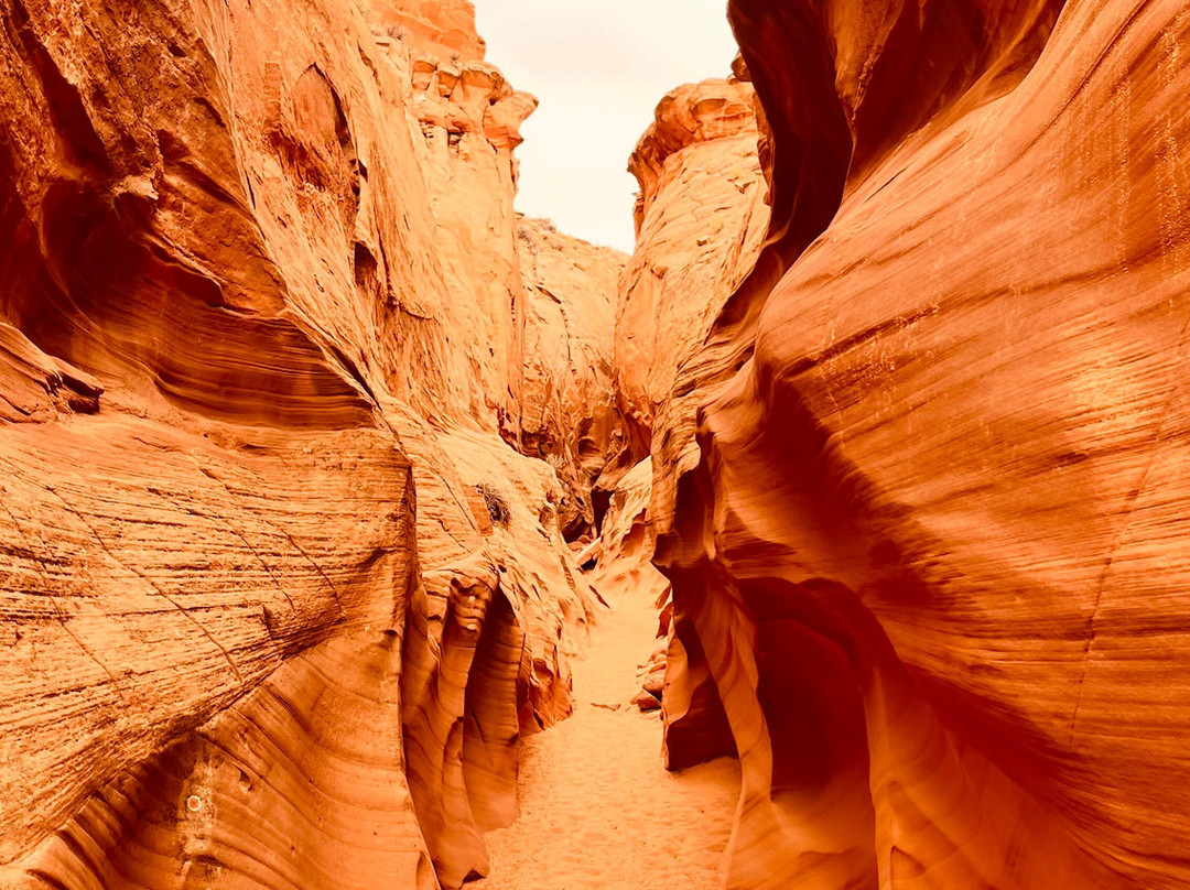 Lii Bikee Slot Canyon Tours