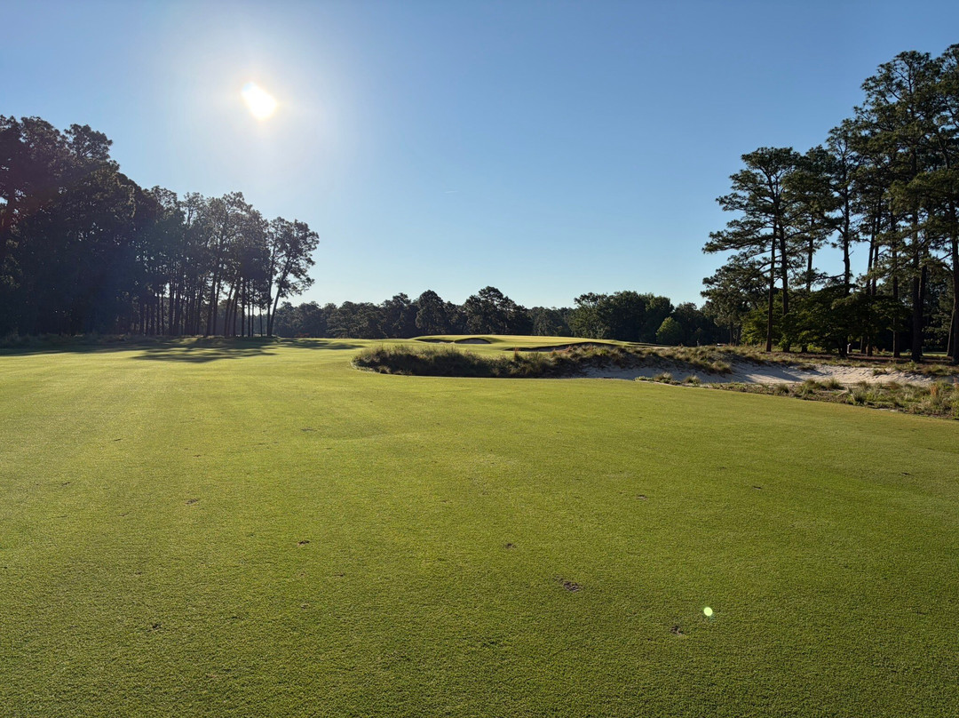 Pinehurst Golf Resort主图