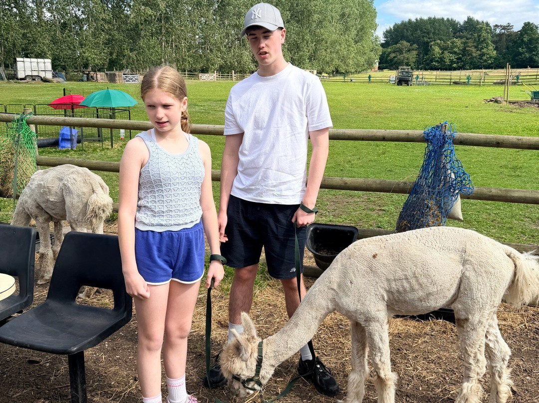 Woodlands Alpaca Farm-沃灵顿必去景点