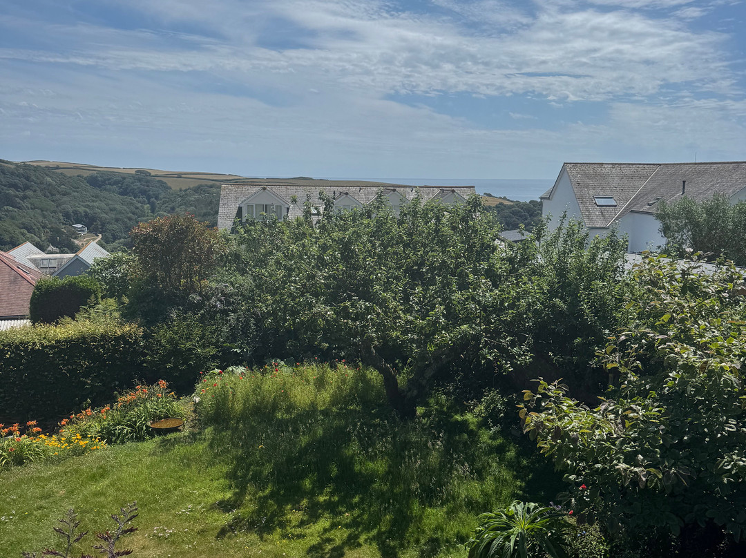 Whinfield B&B Salcombe