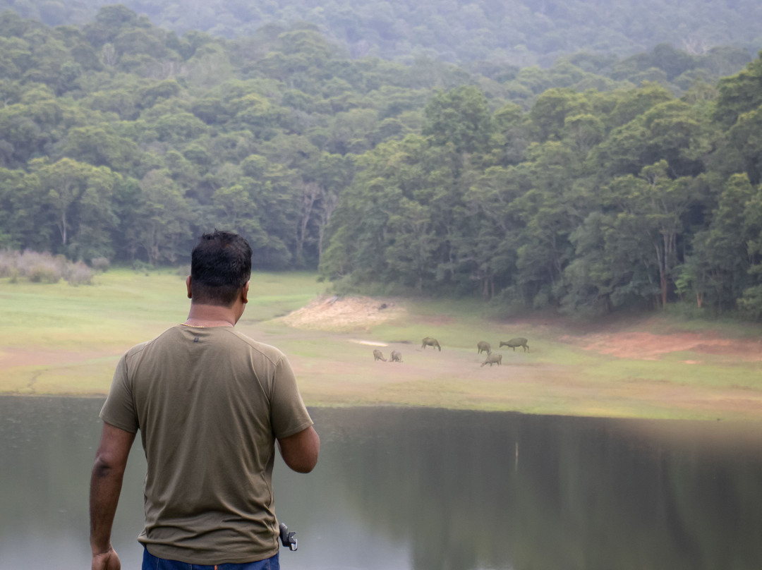 Periyar Tiger Reserve-帖可迪必去景点