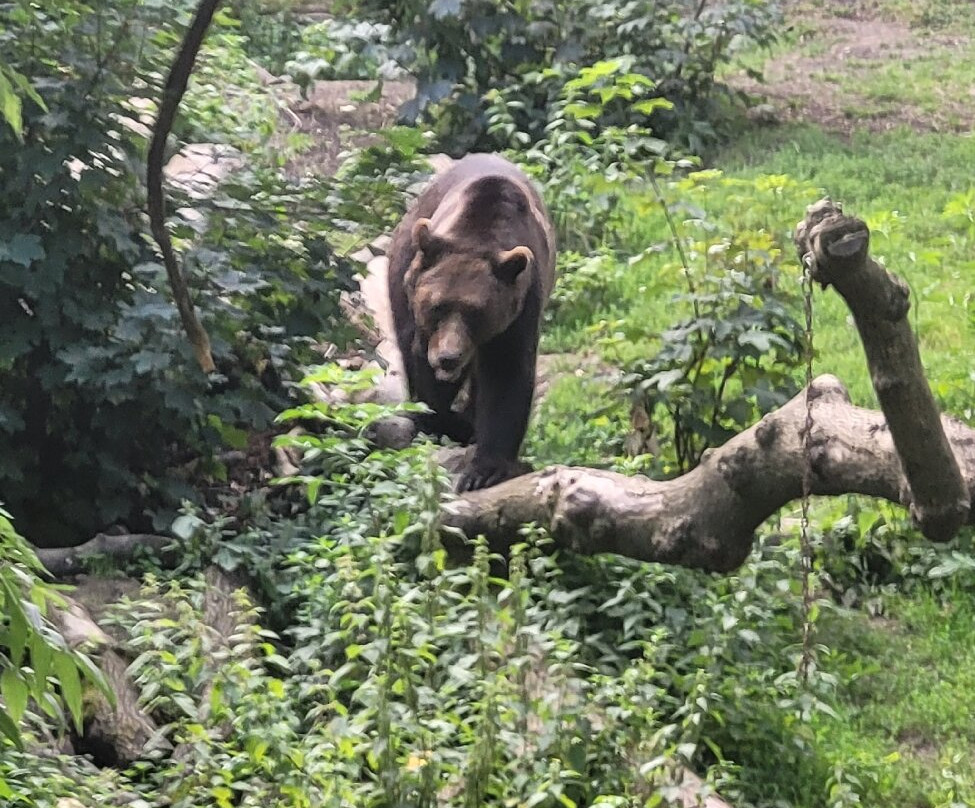Bristol Zoo Project-Easter Compton必去景点
