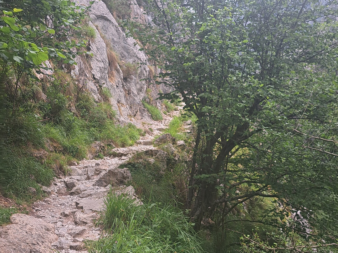 Funicular de Bulnes-Poncebos必去景点
