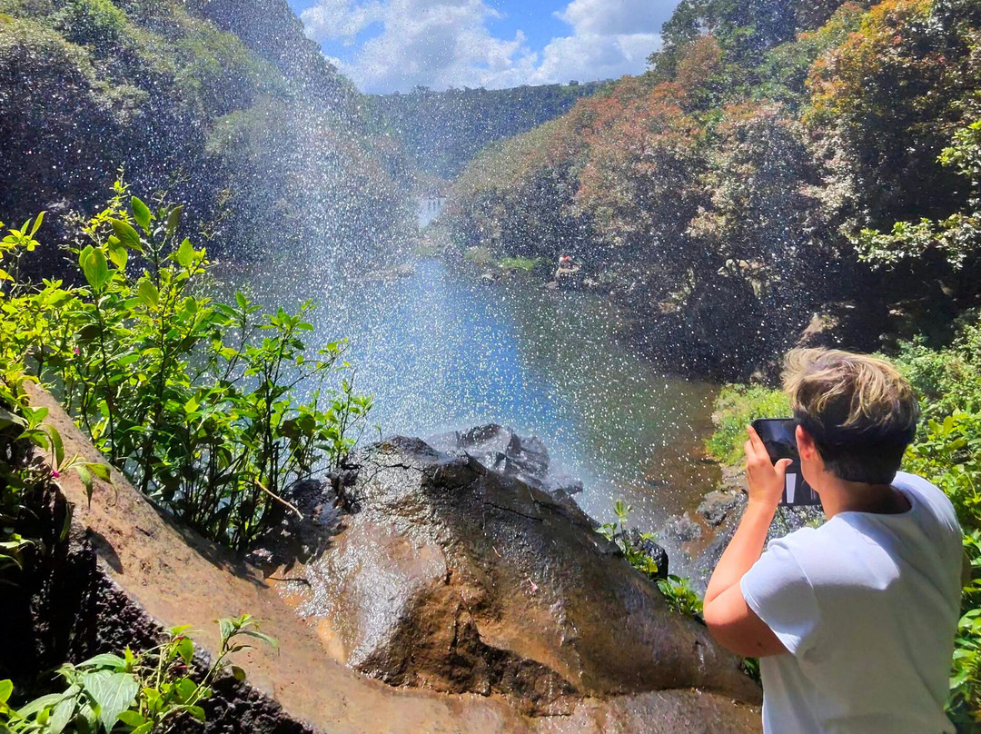 Activities Mauritius-Curepipe必去景点
