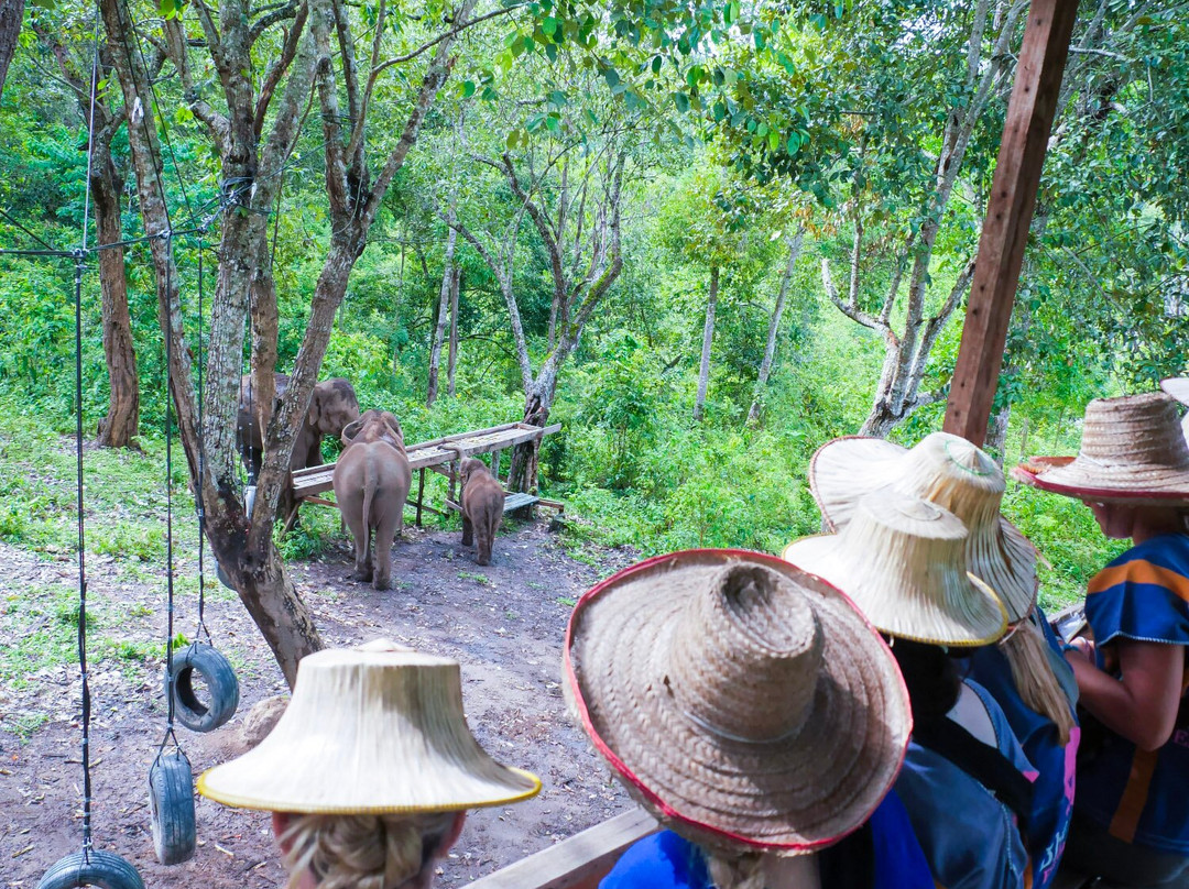 Blue Daily Elephant Care Sanctuary-清迈必去景点