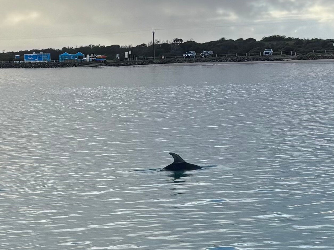 Spirit of the Coorong Cruises-Goolwa必去景点