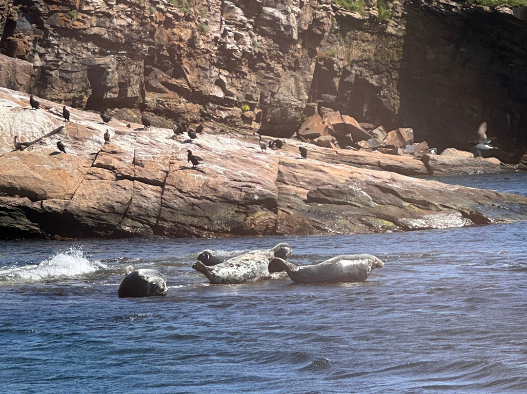 Bird Island Boat Tour-Big Bras d'Or必去景点