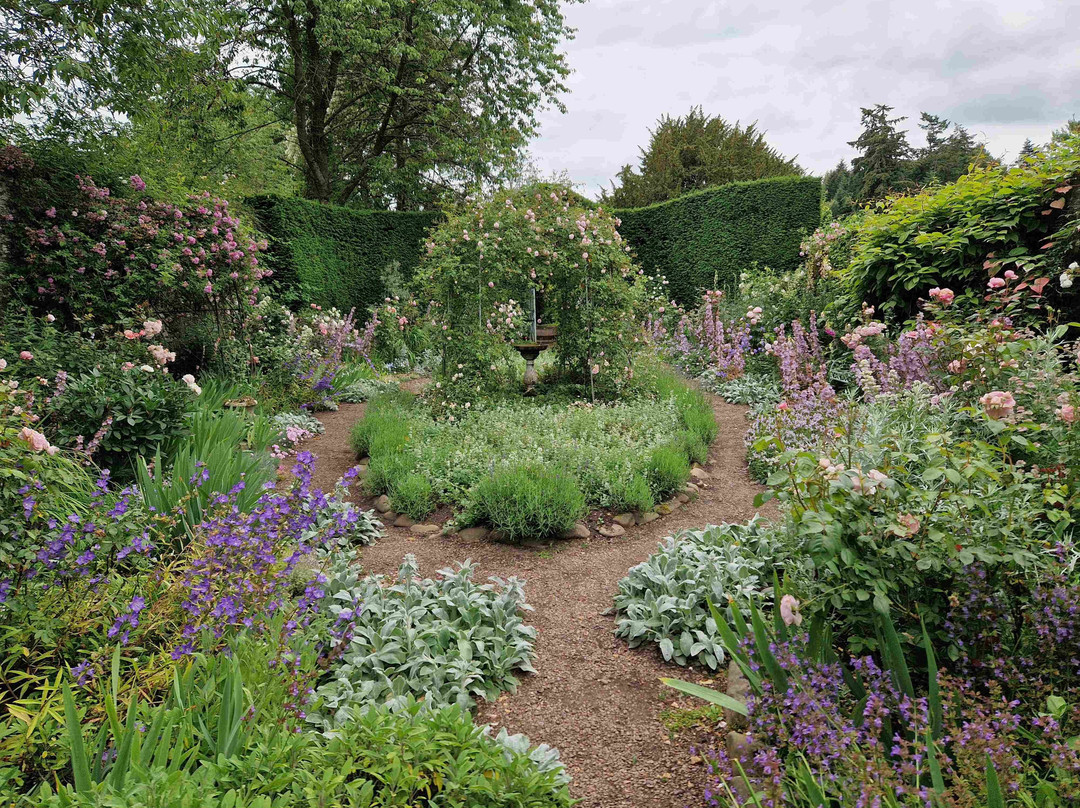 Carolside gardens