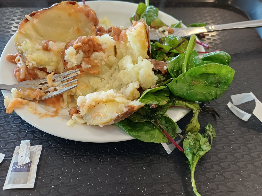 Trago Mills Family Shopping & Leisure Park-牛顿阿伯里必去景点