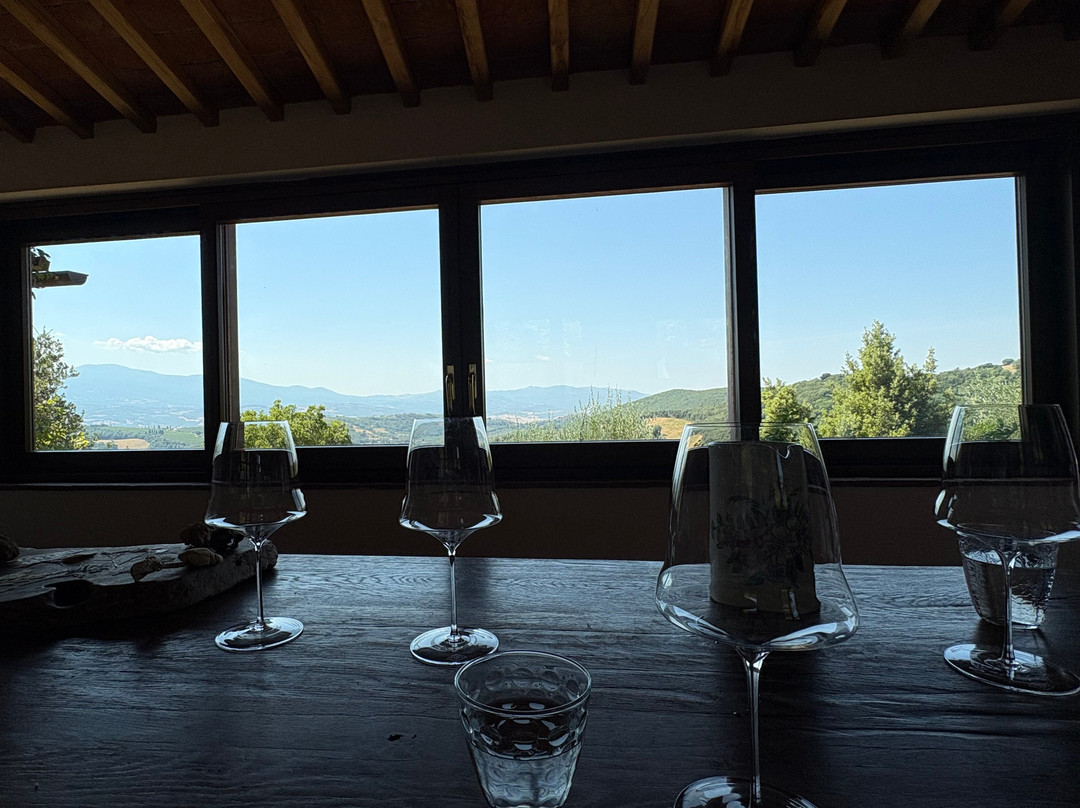 San Polino Winery-蒙塔尔奇诺必去景点