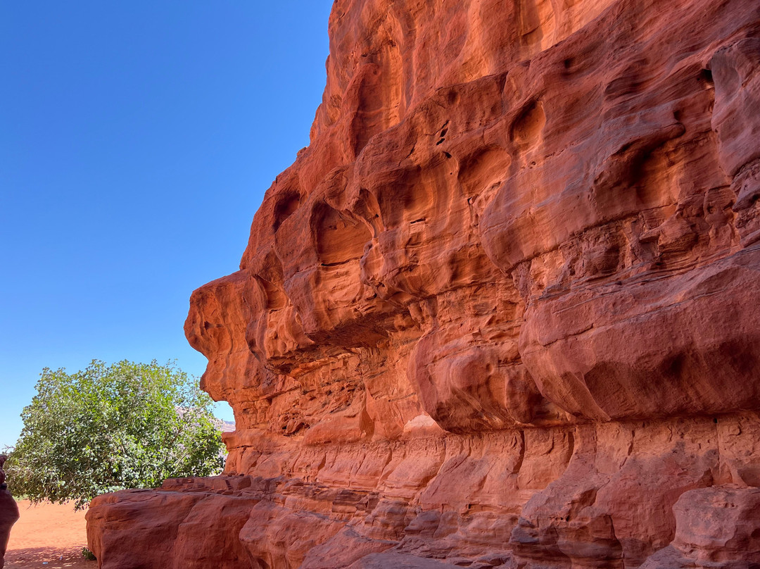 Wadi Rum Desert Eyes-Wadi Rum Village必去景点