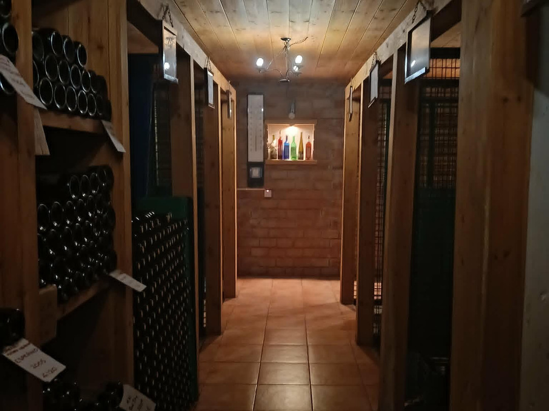 Ayia Mavri Winery-Koilani必去景点