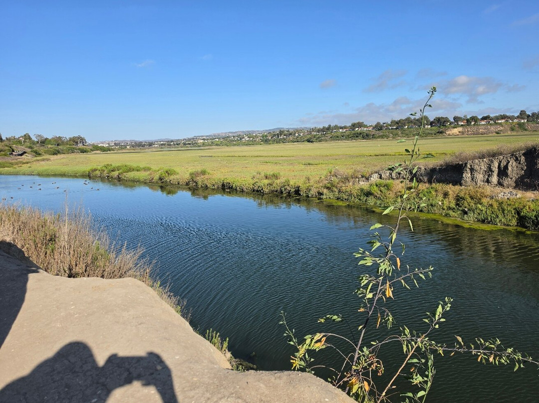 Upper Newport Bay Nature Preserve-纽波特海滩必去景点