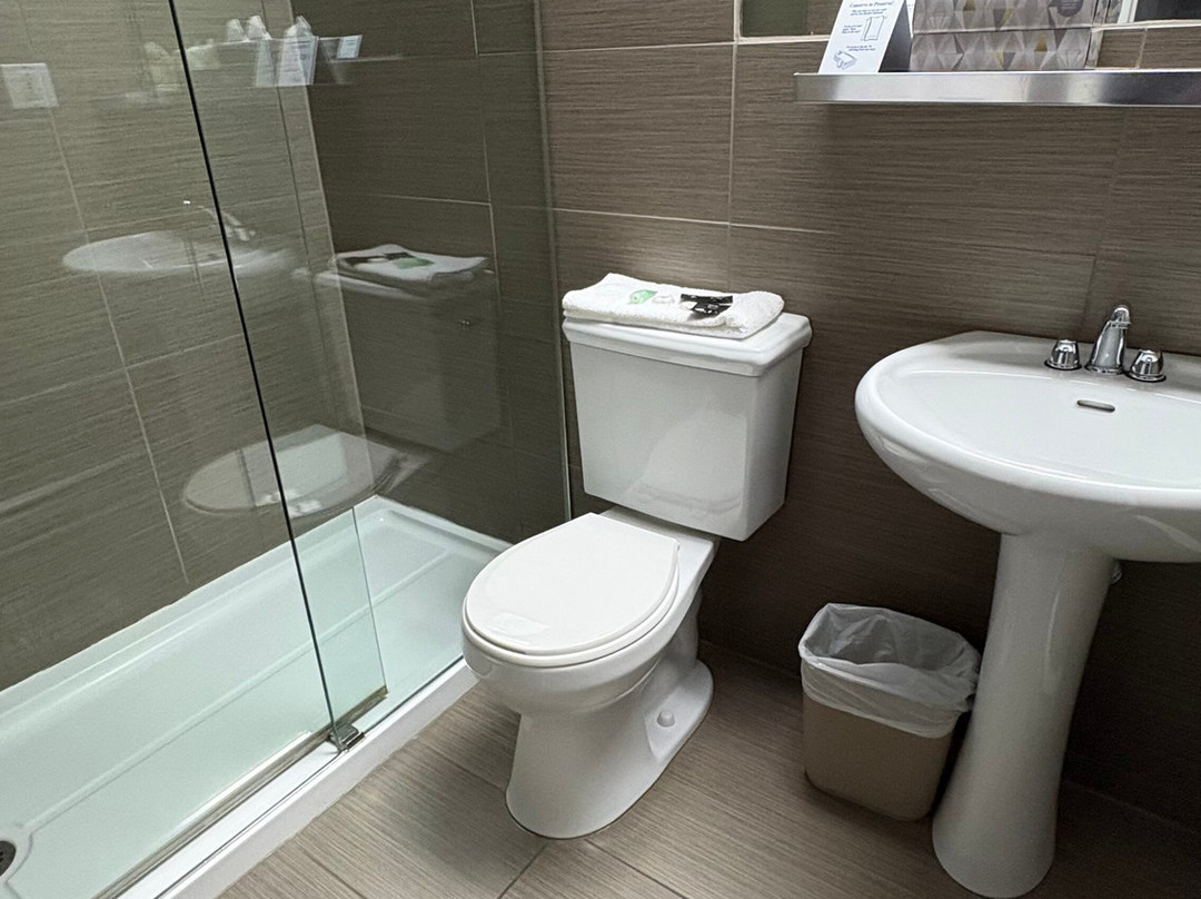 椰子汽车旅馆主图