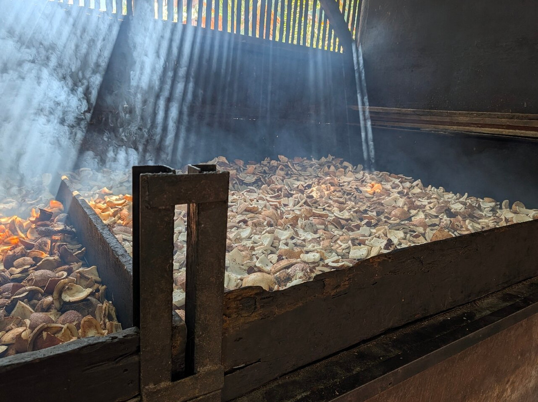 Dindin Tour - Day Tours-庞岸达兰必去景点