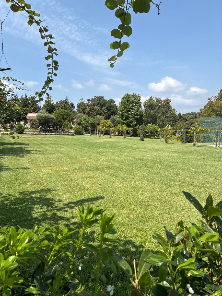 Quinta Dom Sapo - Agroturismo-度假村/酒店