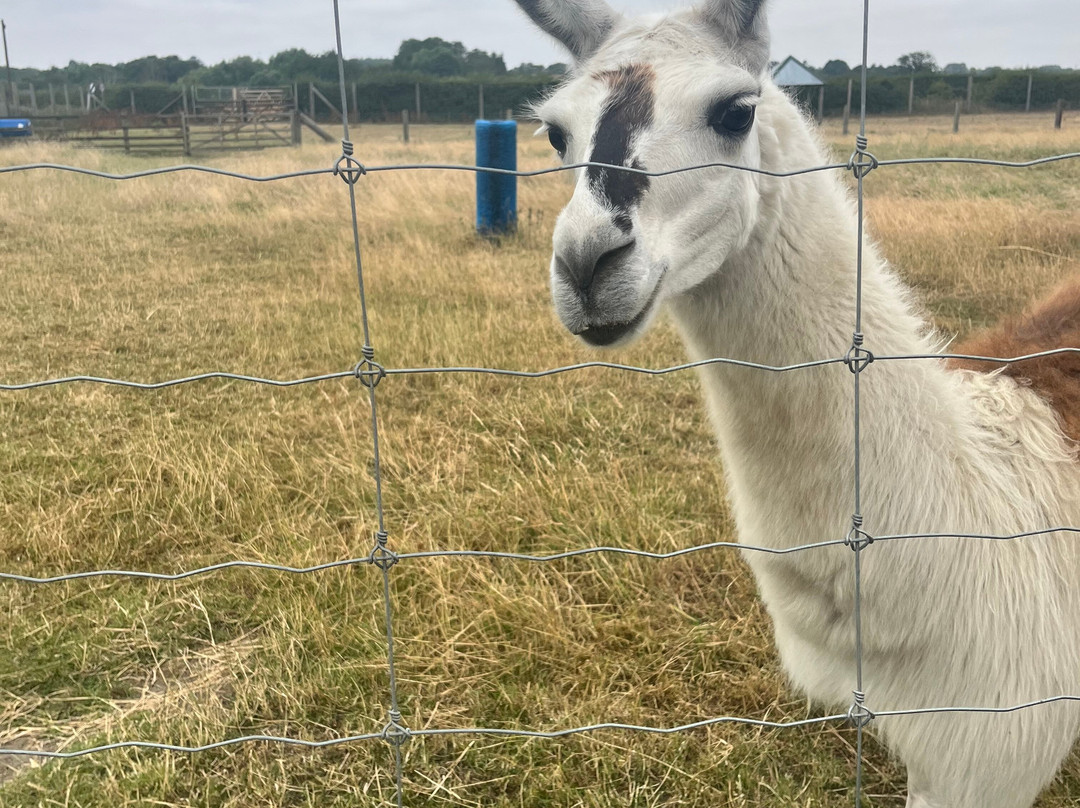 Wolds Wildlife Park-Horncastle必去景点