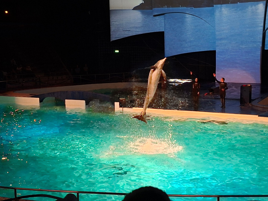 Dolfinarium-Harderwijk必去景点