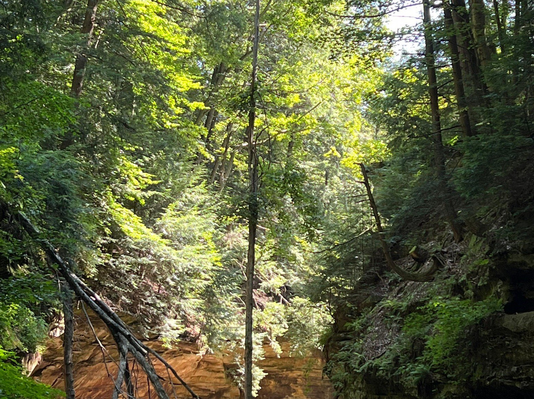 Turkey Run State Park-Marshall必去景点
