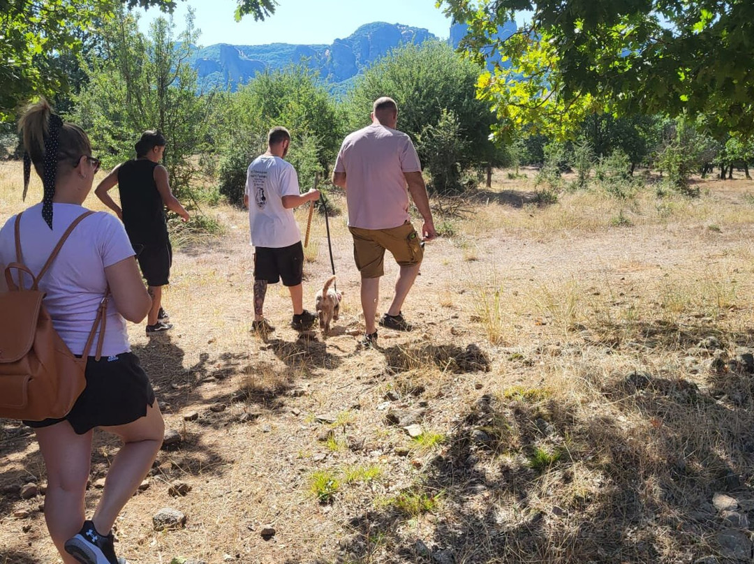 Truffle Hunting-卡兰巴卡必去景点