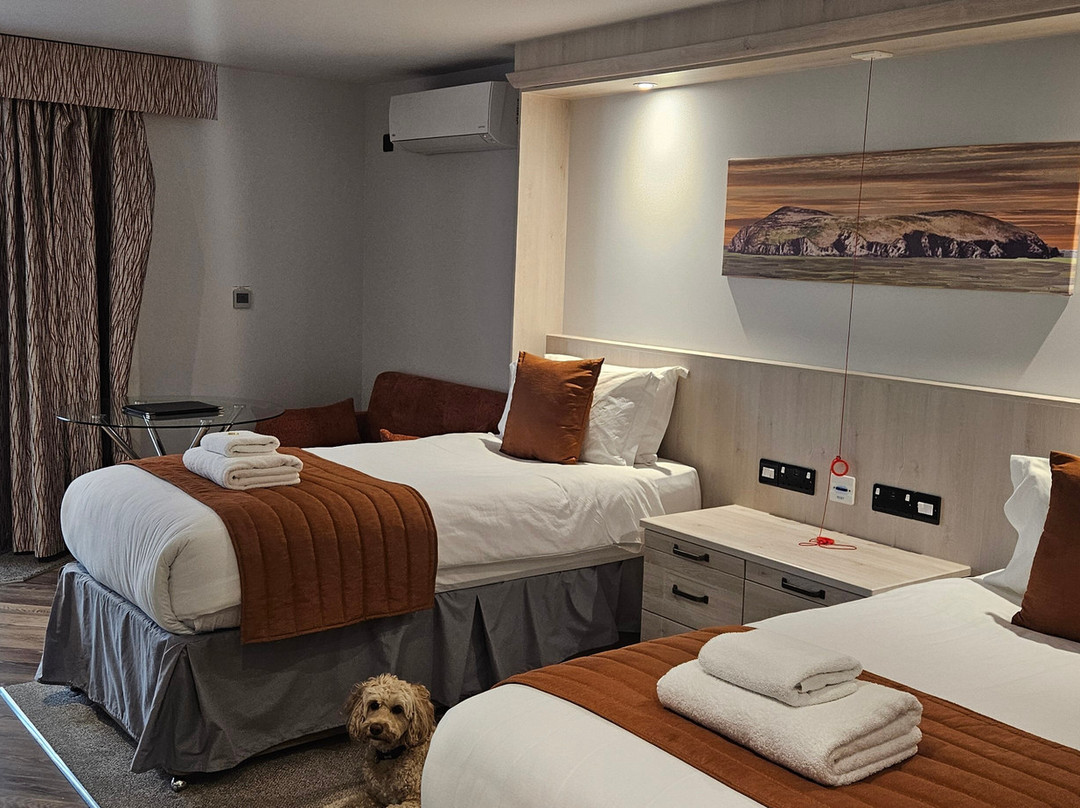 Teifi Waterside Hotel主图