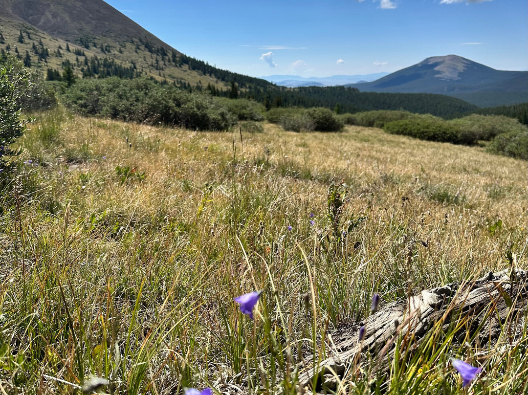 Boreas Pass Road-布雷肯里奇必去景点