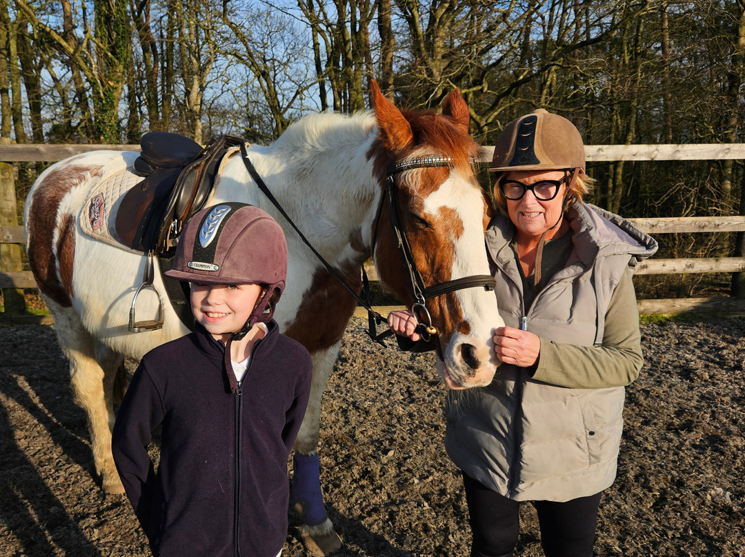 Parkers Riding School-Cockermouth必去景点