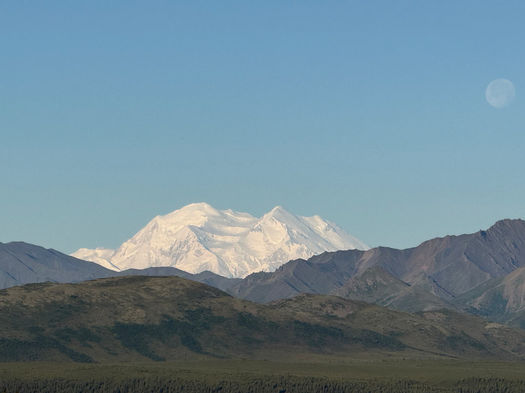 Tundra Wilderness Tour-Denali Park必去景点
