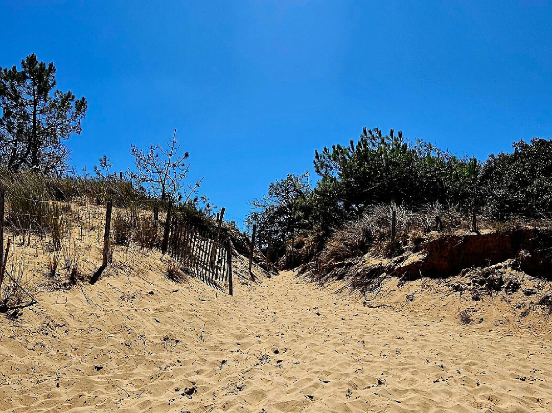 Saumonards Beach-Saint-Georges-d'Oleron必去景点