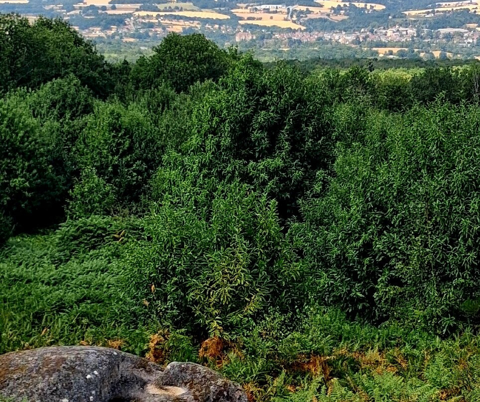 Les Pierres Jaumâtres-Toulx-Sainte-Croix必去景点