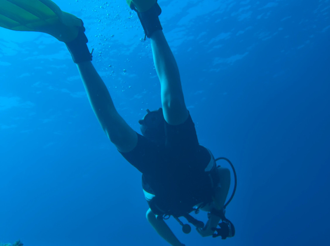 First Class Divers-Porto Petro必去景点