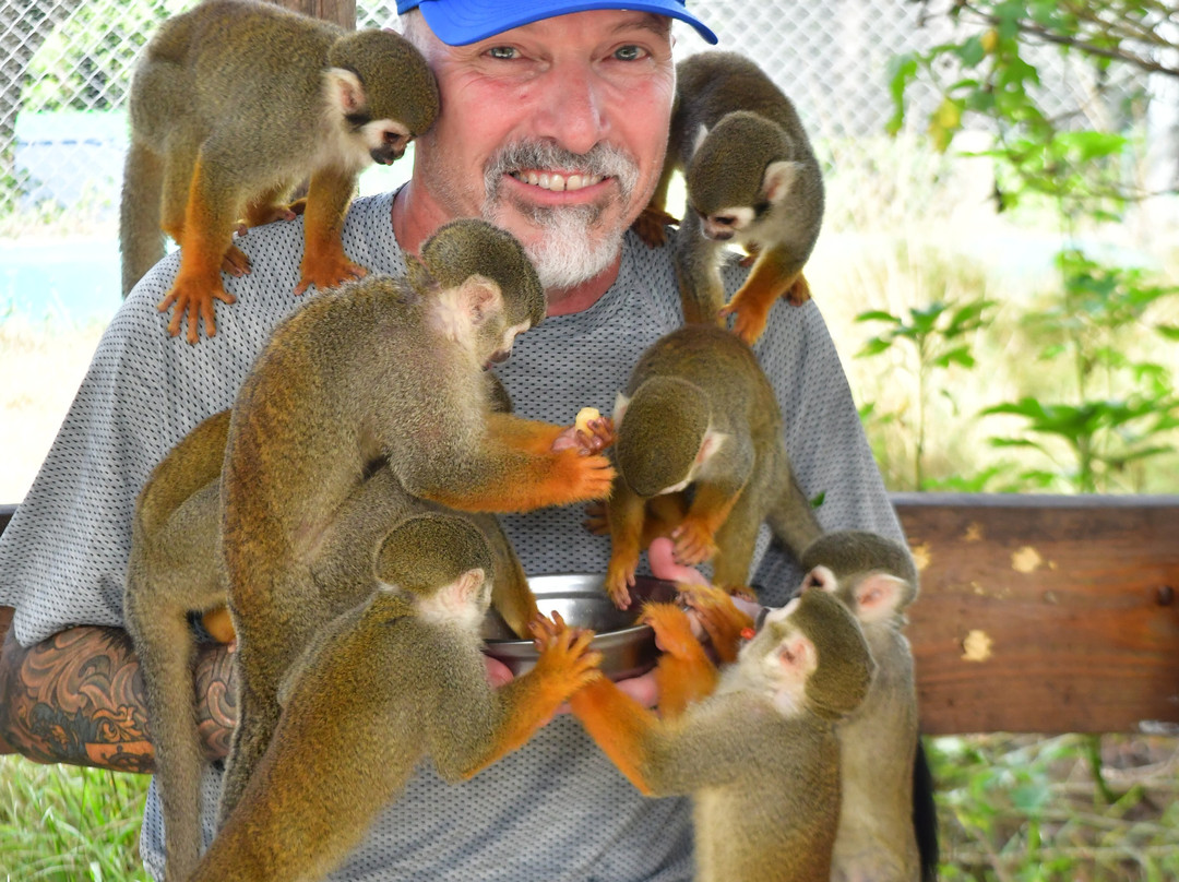 Monkey Home Puerto Plata-普拉塔港必去景点