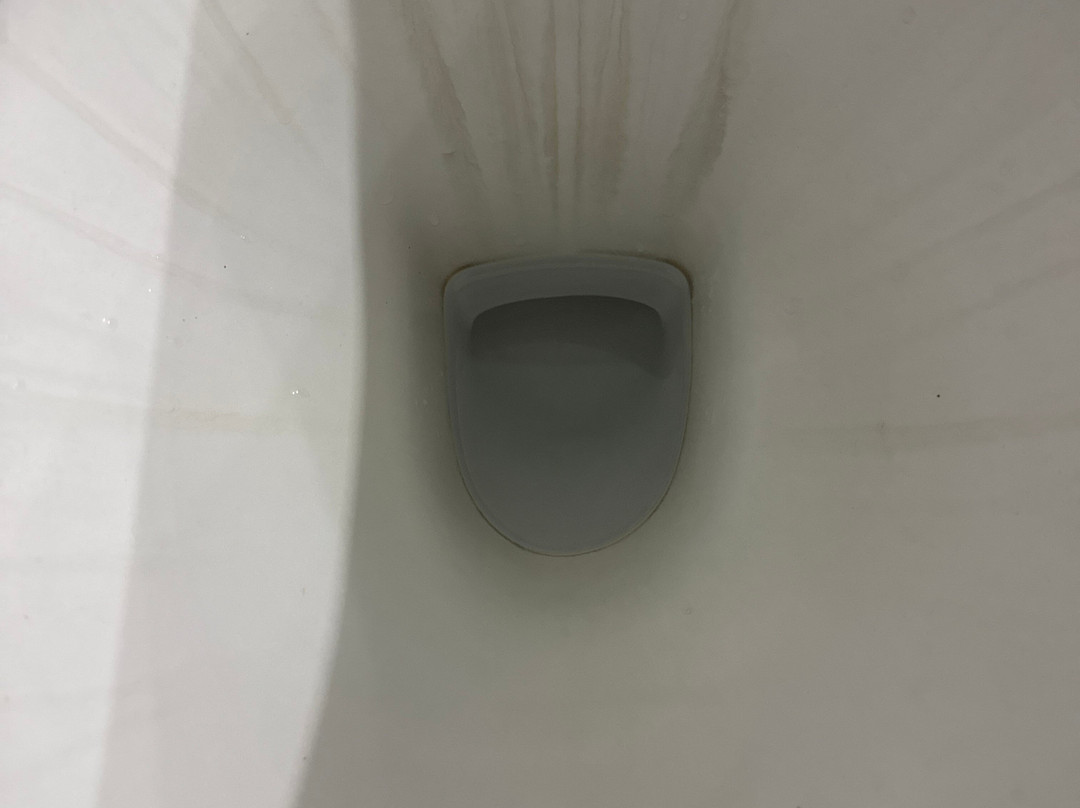 圣灵群岛棕榈汽车旅馆主图