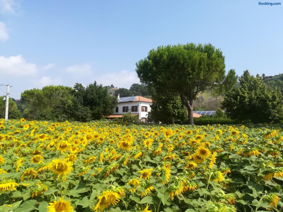 Agriturismo Chicchirichi