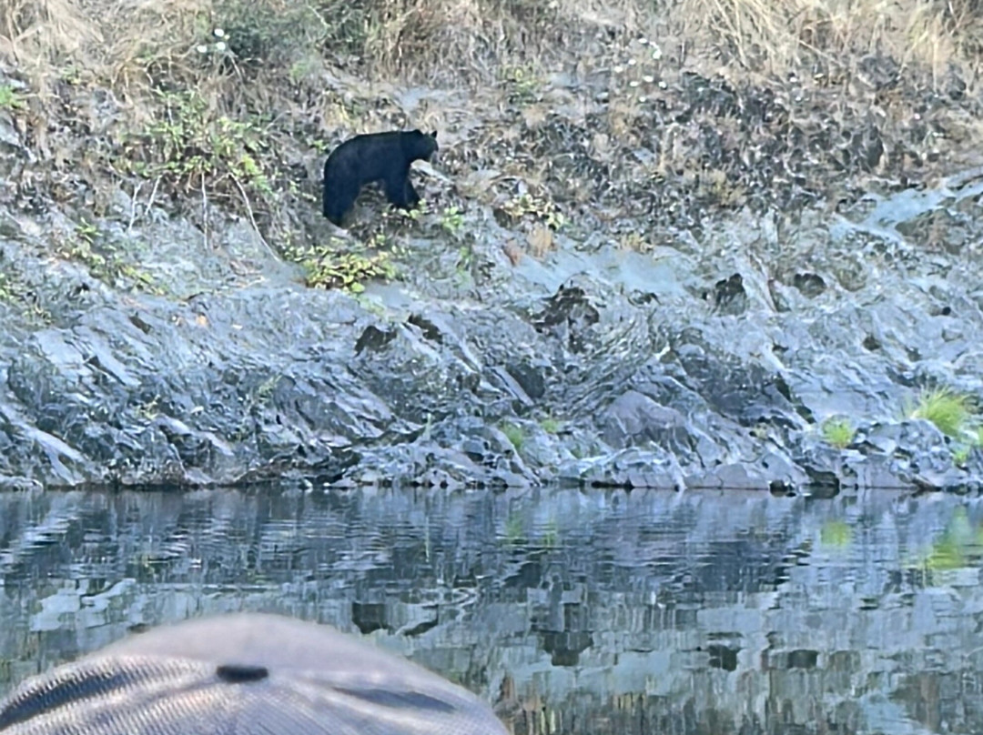 Klamath River Jet Boat Tours-克拉马斯必去景点