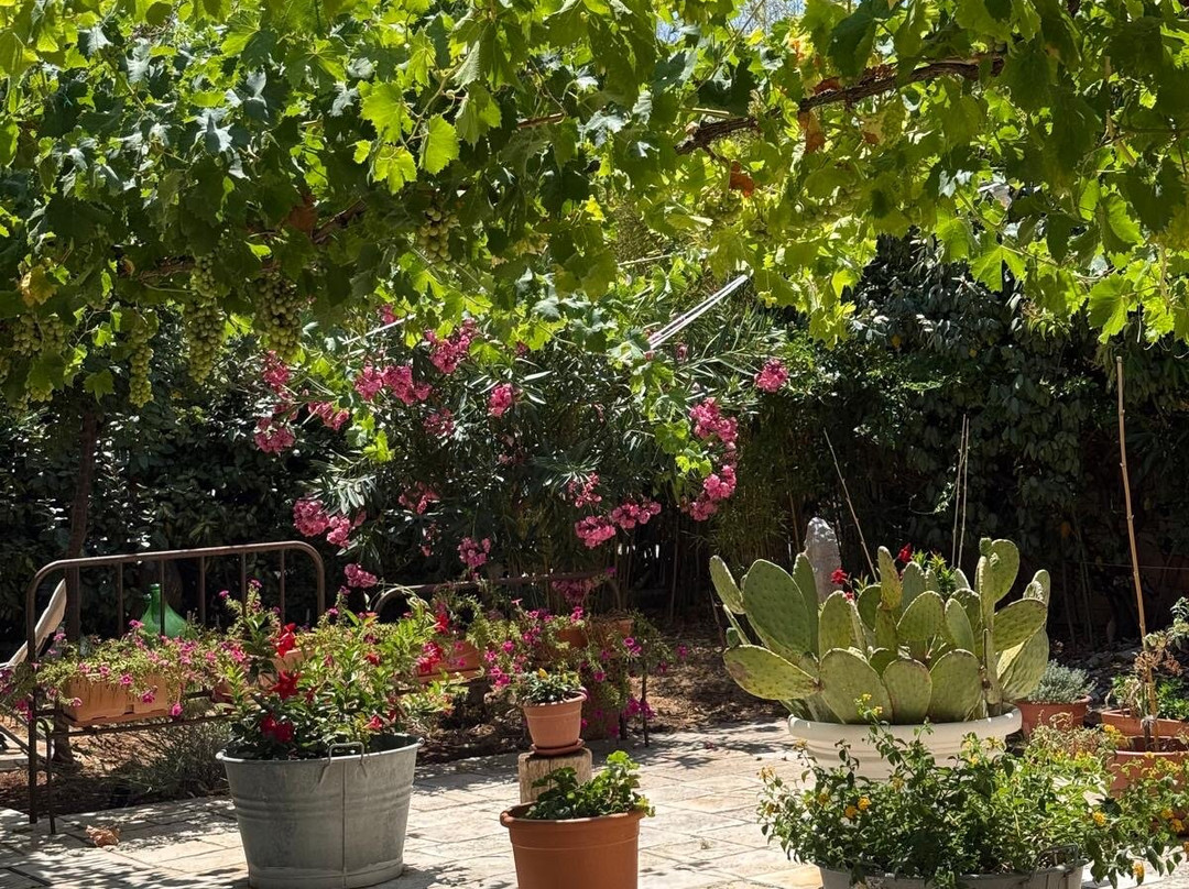 B&B Masseria Piccola主图