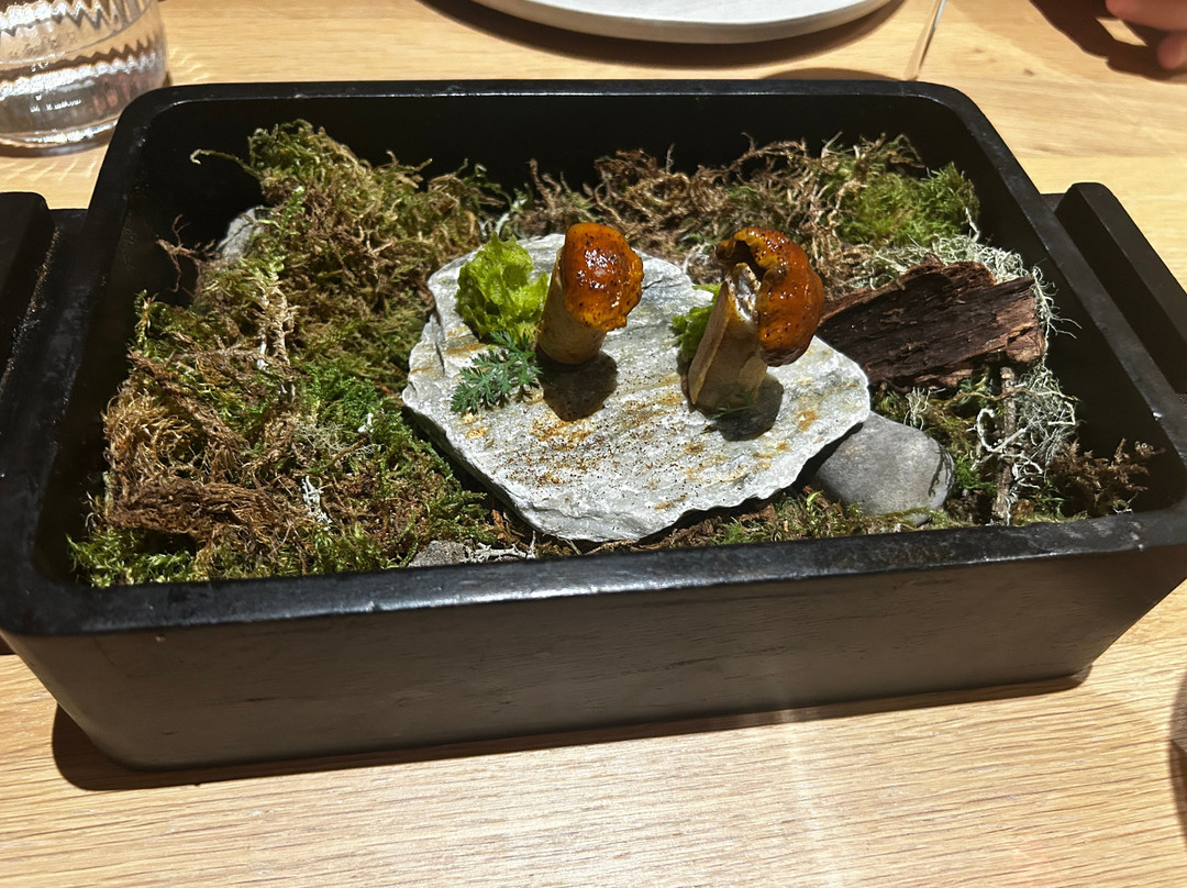 索恩霍夫酒店主图