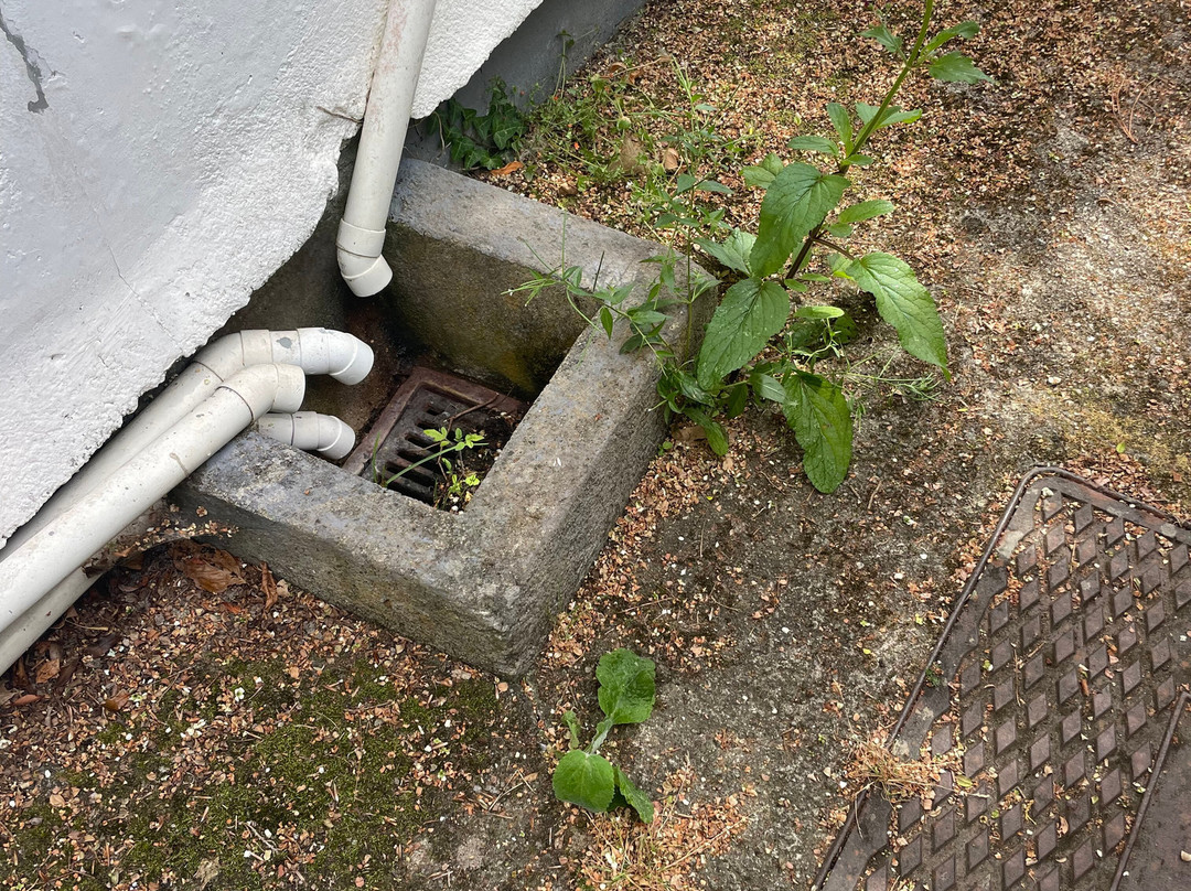 默东酒店主图