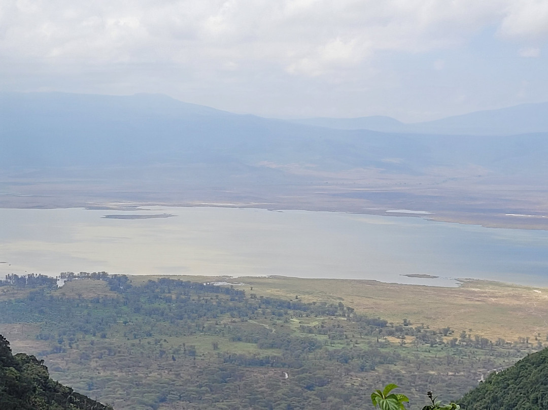 African Scenic Safaris-莫西必去景点