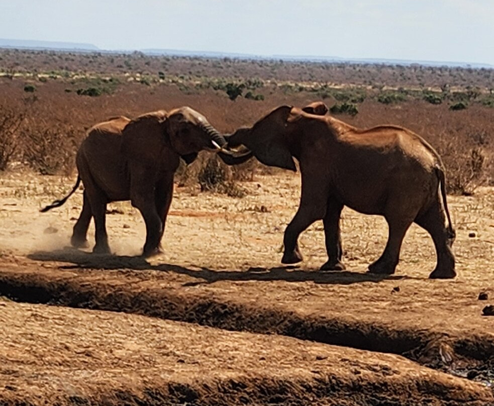 Explorer Kenya-内罗毕必去景点