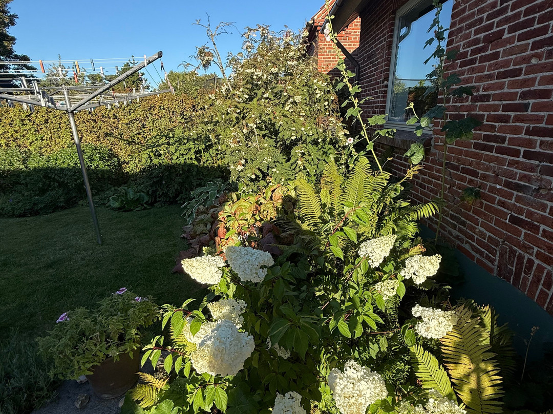 B&B Villa Filsø主图