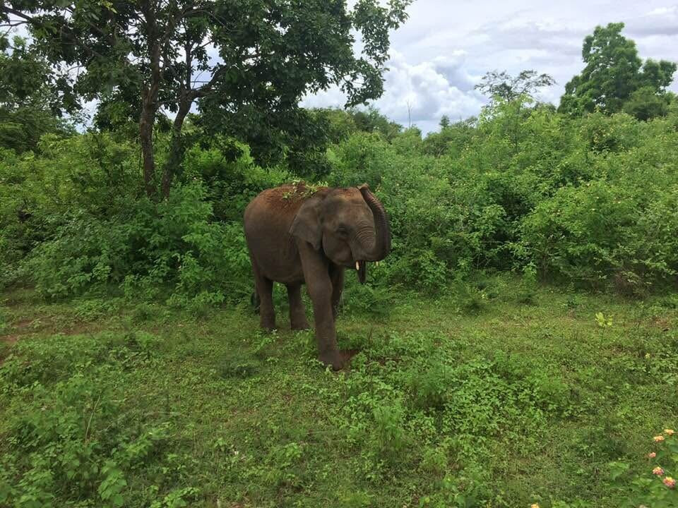 Apeksha Travels & Tours