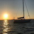 lisadA4607XT