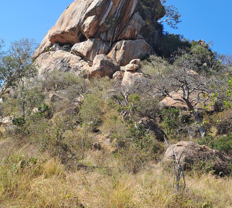 Milima Big 5 Safari Lodge主图