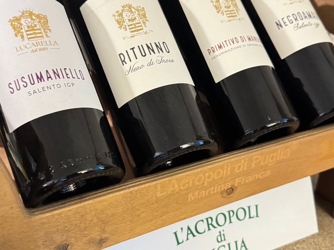 L'Acropoli di Puglia-马丁纳弗兰卡必去景点