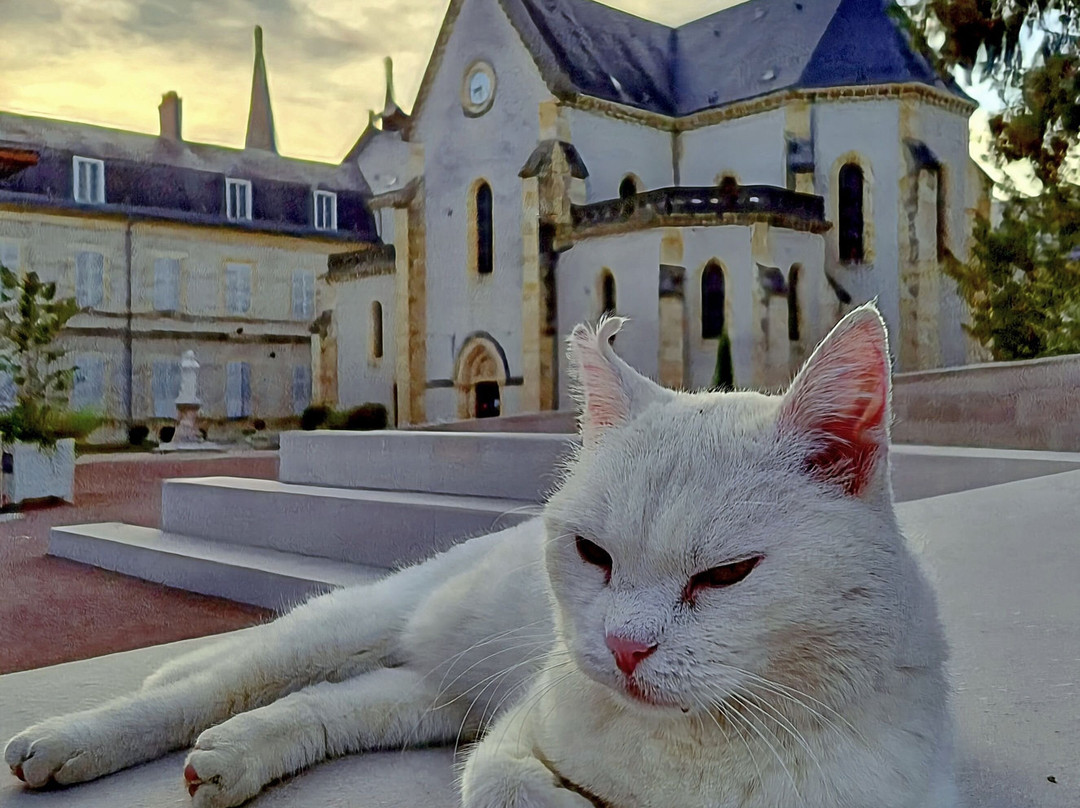 Sanctuaire Sainte Bernadette Soubirous-讷韦尔必去景点