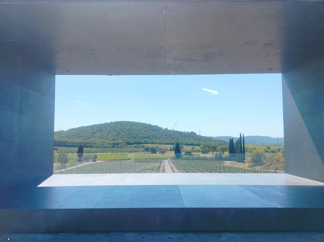 TENUTA CASADEI-Suvereto必去景点