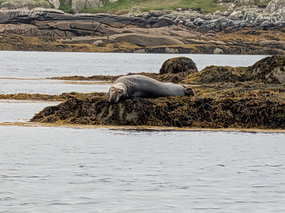 Donegal Sea Adventure-Burtonport必去景点