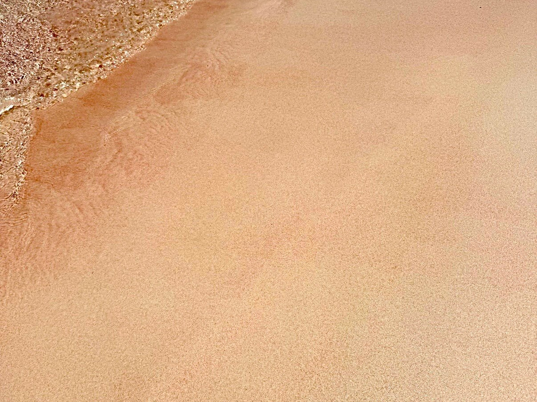 Pink Beach-科莫多必去景点