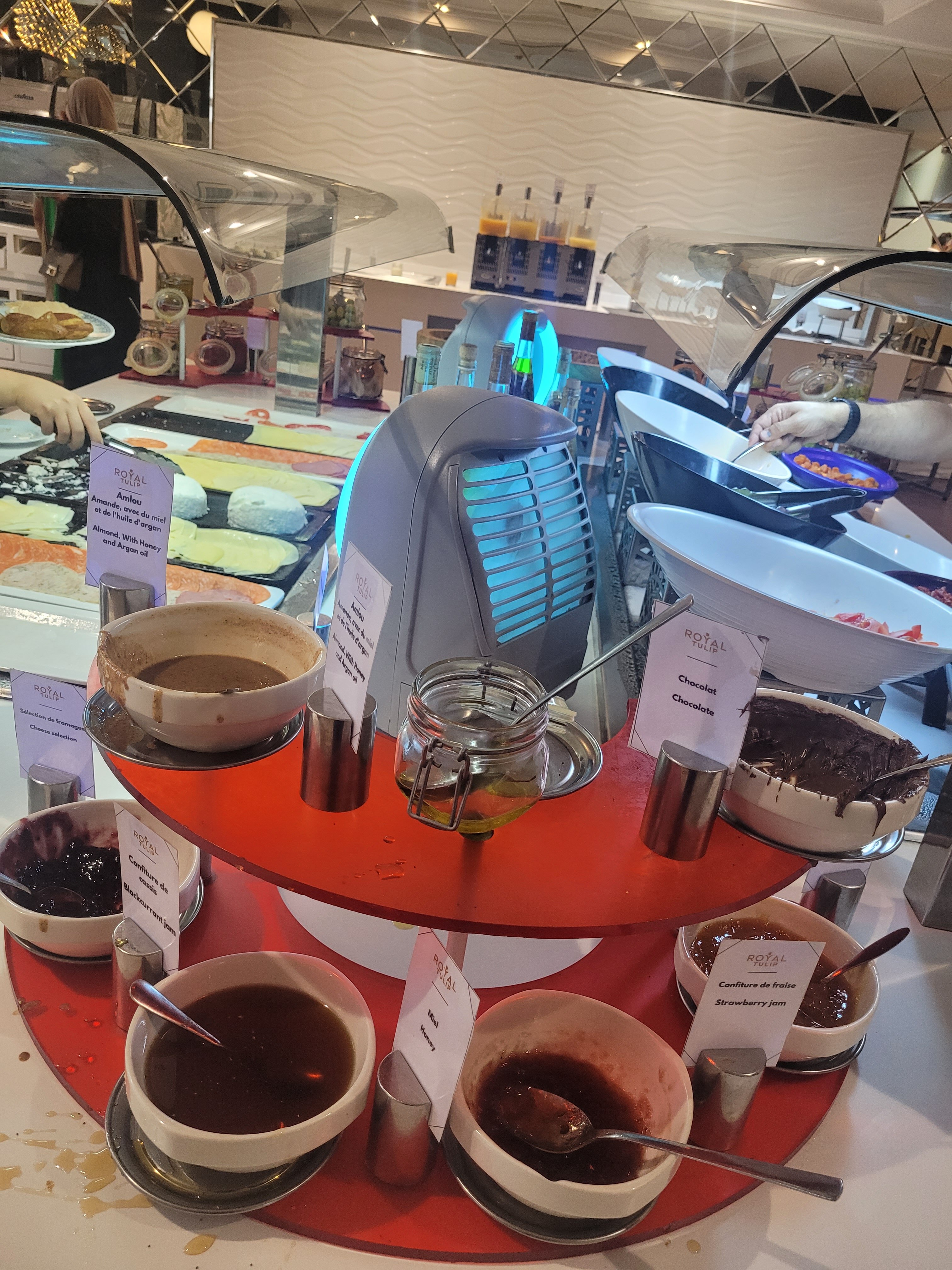 市中心皇家郁金香酒店-旅行者